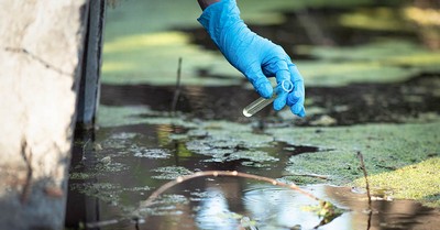 Imagem ilustrativa de Investigação de áreas contaminadas