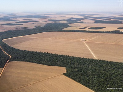 Imagem ilustrativa de Licenciamento ambiental para agropecuária